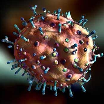 Borna Virus - Version 2.1