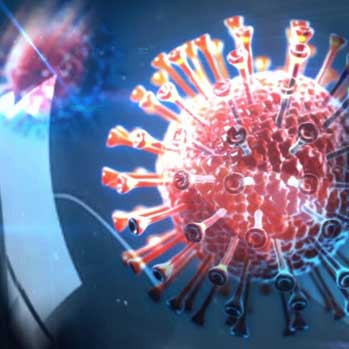 Hepatitis B - Version 1.0