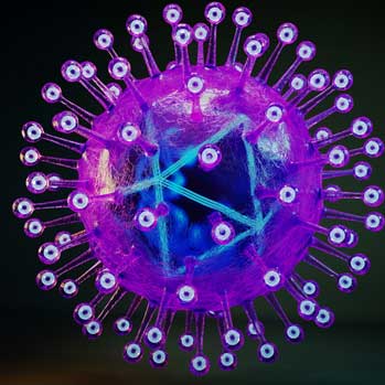 Herpes Simplex Virus - Version 2.0