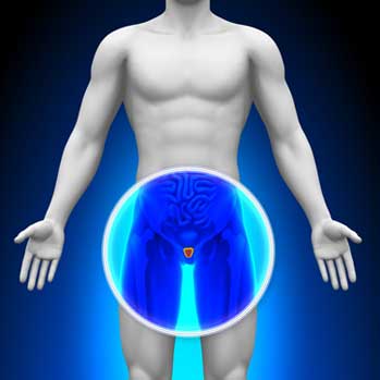 Prostate Health - Version 1.1