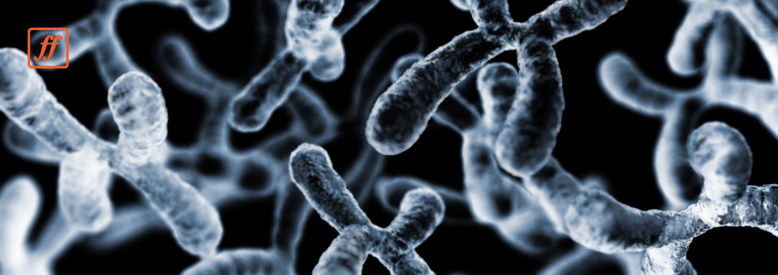 Vanishing Y Chromosome: How mLOY Impacts Men’s Health